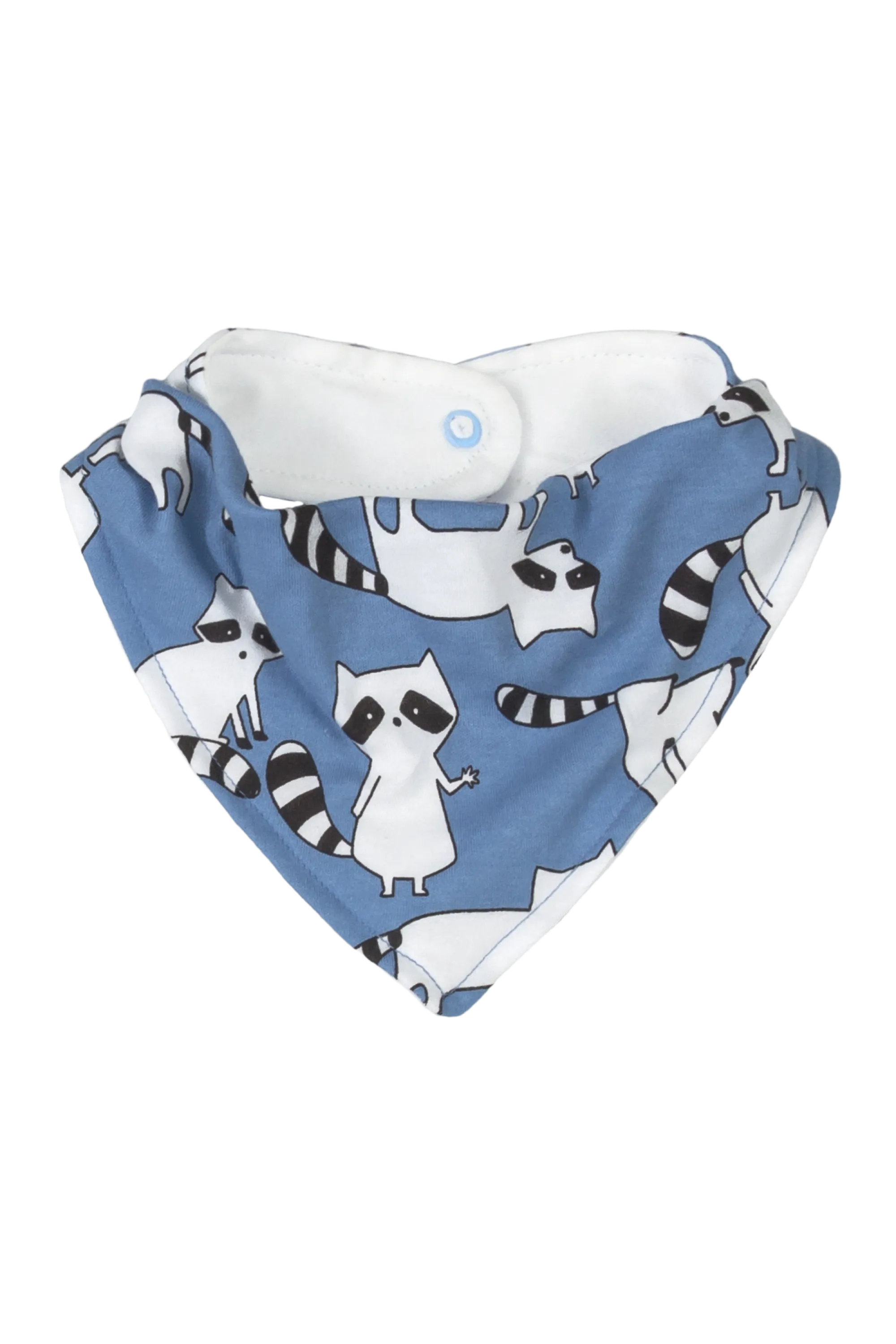 10 Piece Racoon Essentials Collection